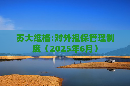 苏大维格:对外担保管理制度（2025年6月）
