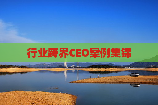 行业跨界CEO案例集锦  第1张