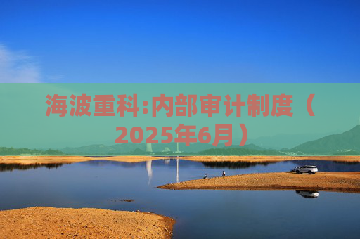 海波重科:内部审计制度（2025年6月）  第1张