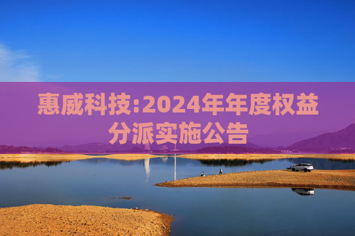 惠威科技:2024年年度权益分派实施公告