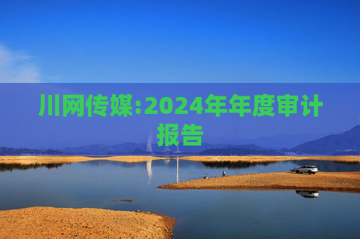 川网传媒:2024年年度审计报告  第1张