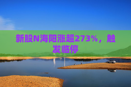 新股N海阳涨超273%,触发临停