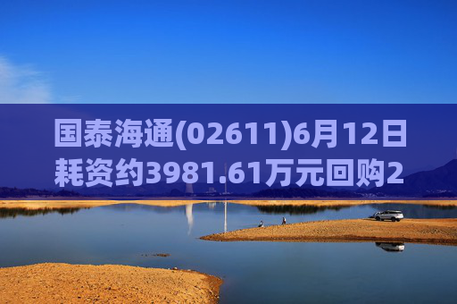 国泰海通(02611)6月12日耗资约3981.61万元回购214.992万股A股