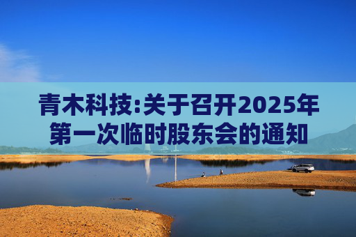 青木科技:关于召开2025年第一次临时股东会的通知