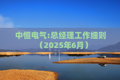 中恒电气:总经理工作细则（2025年6月）