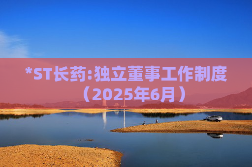 *ST长药:独立董事工作制度（2025年6月）  第1张