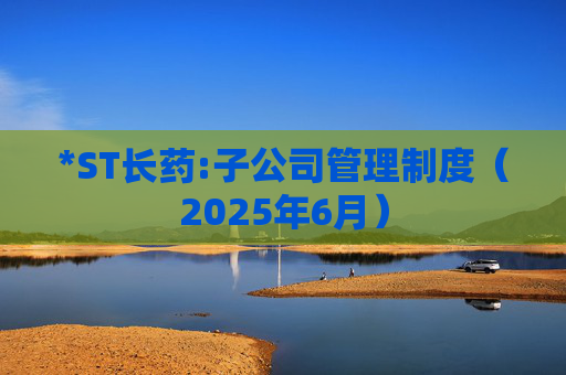 *ST长药:子公司管理制度（2025年6月）