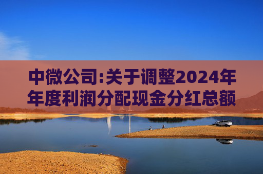 中微公司:关于调整2024年年度利润分配现金分红总额的公告