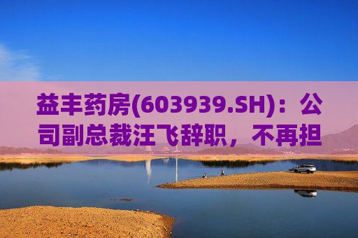 益丰药房(603939.SH):公司副总裁汪飞辞职,不再担任公司其他职务