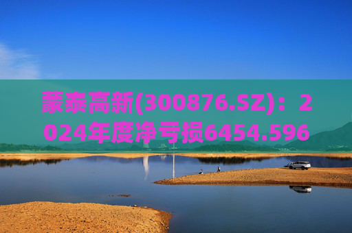 蒙泰高新(300876.SZ)：2024年度净亏损6454.596万元  第1张