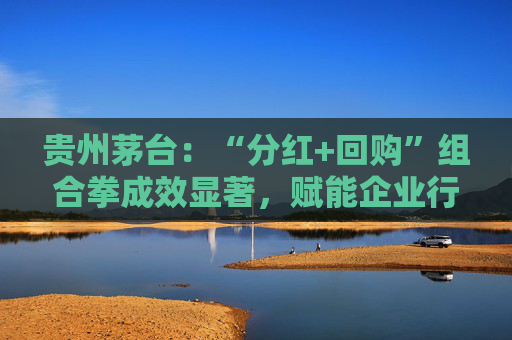 贵州茅台：“分红+回购”组合拳成效显著，赋能企业行稳致远  第1张