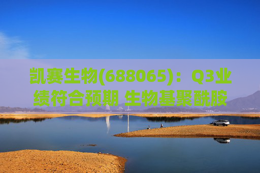 凯赛生物(688065)：Q3业绩符合预期 生物基聚酰胺复材商业化持续推进