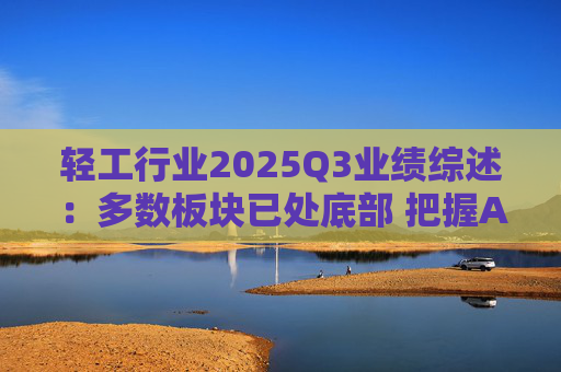 轻工行业2025Q3业绩综述：多数板块已处底部 把握Α布局机遇  第1张
