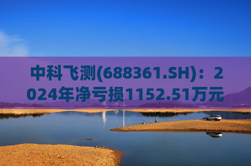 中科飞测(688361.SH)：2024年净亏损1152.51万元