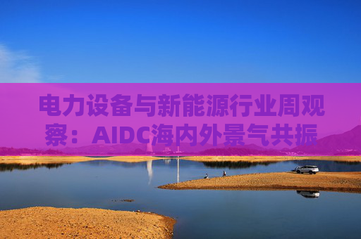 电力设备与新能源行业周观察：AIDC海内外景气共振 储能需求向好发展