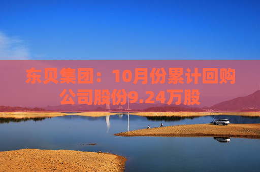 东贝集团：10月份累计回购公司股份9.24万股  第1张