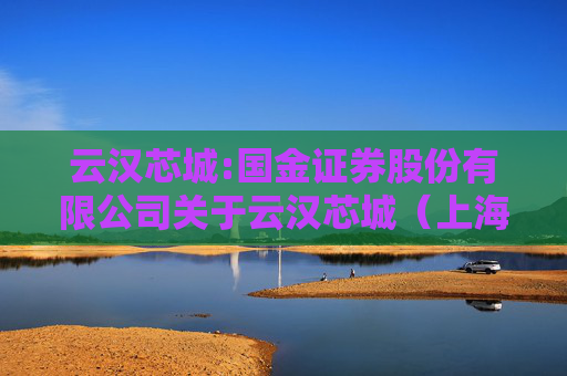 云汉芯城:国金证券股份有限公司关于云汉芯城（上海）互联网科技股份有限公司调整募投项目内部投资结构及部分募投项目新增实施主体的核查意见