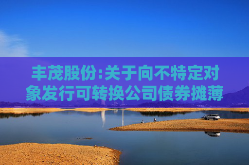 丰茂股份:关于向不特定对象发行可转换公司债券摊薄即期回报与填补回报措施及相关主体承诺的公告