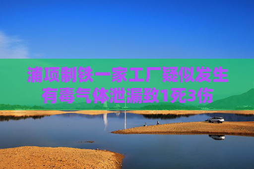 浦项制铁一家工厂疑似发生有毒气体泄漏致1死3伤  第1张