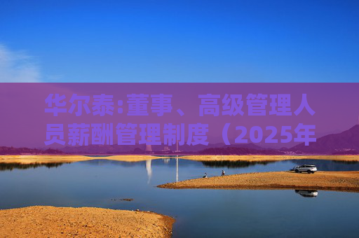 华尔泰:董事、高级管理人员薪酬管理制度（2025年11月）  第1张