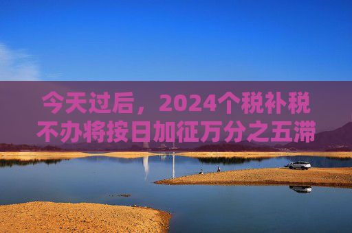 今天过后,2024个税补税不办将按日加征万分之五滞纳金 第1张 今天过后,2024个税补税不办将按日加征万分之五滞纳金 第1张