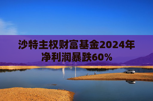 沙特主权财富基金2024年净利润暴跌60%  第1张