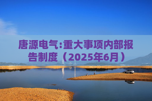 唐源电气:重大事项内部报告制度（2025年6月）