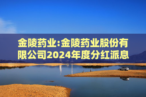 金陵药业:金陵药业股份有限公司2024年度分红派息实施公告