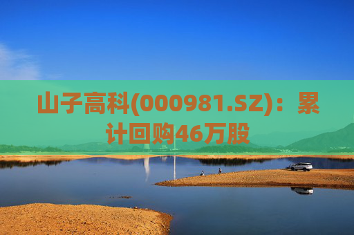 山子高科(000981.SZ):累计回购46万股
