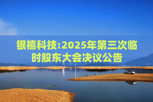 银禧科技:2025年第三次临时股东大会决议公告