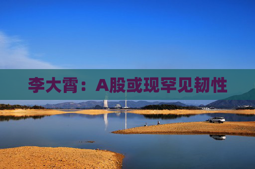 李大霄：A股或现罕见韧性  第1张