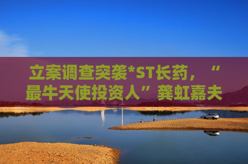 立案调查突袭*ST长药,“最牛天使投资人”龚虹嘉夫妇5.93亿元投资再临挑战 第1张 立案调查突袭*ST长药,“最牛天使投资人”龚虹嘉夫妇5.93亿元投资再临挑战 第1张