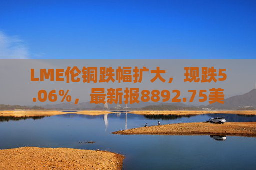 LME伦铜跌幅扩大，现跌5.06%，最新报8892.75美元/吨  第1张