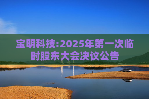 宝明科技:2025年第一次临时股东大会决议公告