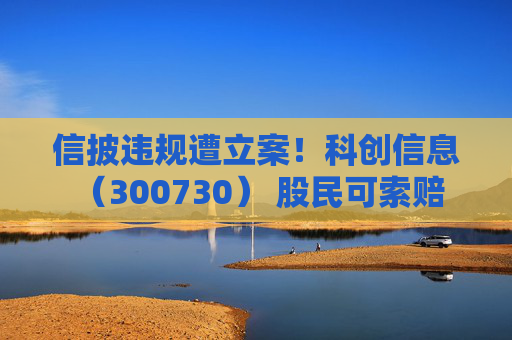 信披违规遭立案！科创信息 （300730） 股民可索赔  第1张