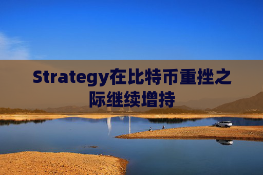 Strategy在比特币重挫之际继续增持  第1张