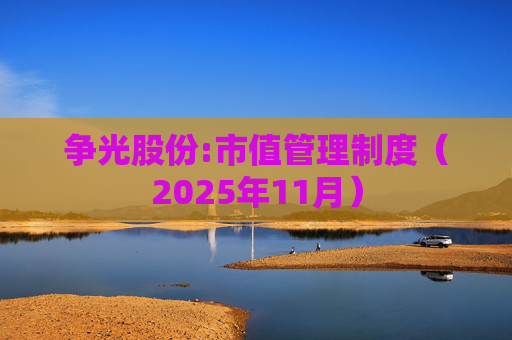争光股份:市值管理制度（2025年11月）
