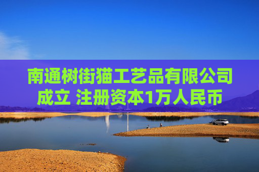 南通树街猫工艺品有限公司成立 注册资本1万人民币  第1张