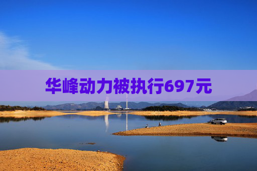 华峰动力被执行697元
