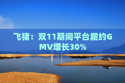 飞猪：双11期间平台履约GMV增长30%  第1张