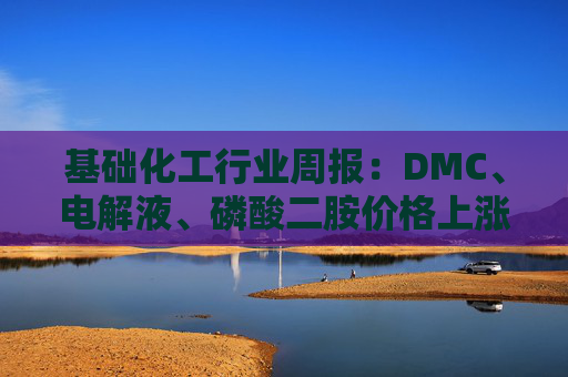 基础化工行业周报:DMC、电解液、磷酸二胺价格上涨 关注反内卷和铬盐