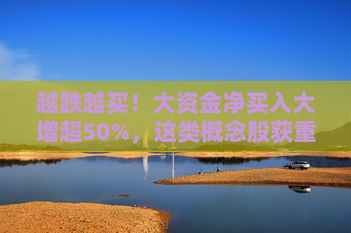 越跌越买！大资金净买入大增超50%，这类概念股获重点关注