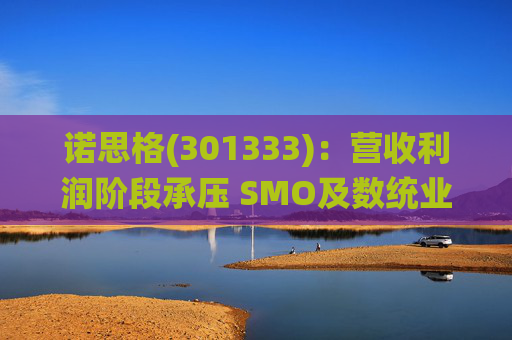 诺思格(301333):营收利润阶段承压 SMO及数统业务保持稳健增长