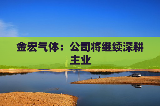 金宏气体:公司将继续深耕主业