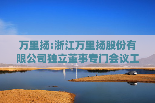 万里扬:浙江万里扬股份有限公司独立董事专门会议工作制度(2025年11月修订)