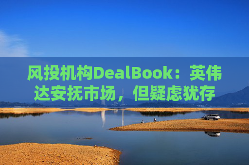 风投机构DealBook：英伟达安抚市场，但疑虑犹存