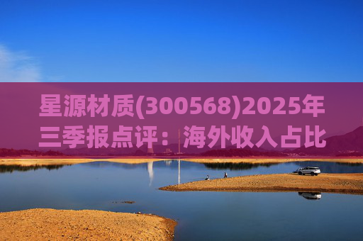 星源材质(300568)2025年三季报点评：海外收入占比提升 盈利水平改善  第1张