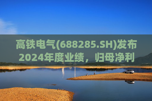 高铁电气(688285.SH)发布2024年度业绩，归母净利润4513.31万元，同比下降18.13%  第1张