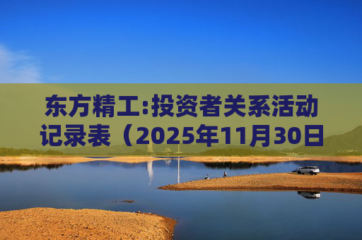 东方精工:投资者关系活动记录表(2025年11月30日)