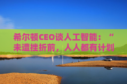 希尔顿CEO谈人工智能：“未遭挫折前，人人都有计划”  第1张